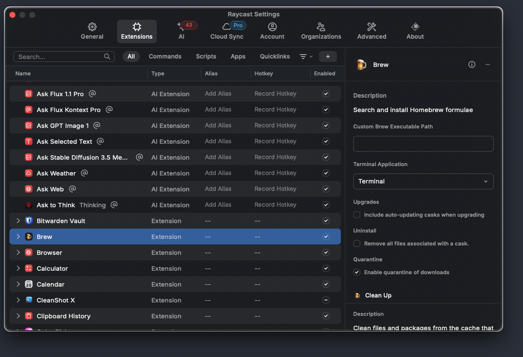 Raycast settings