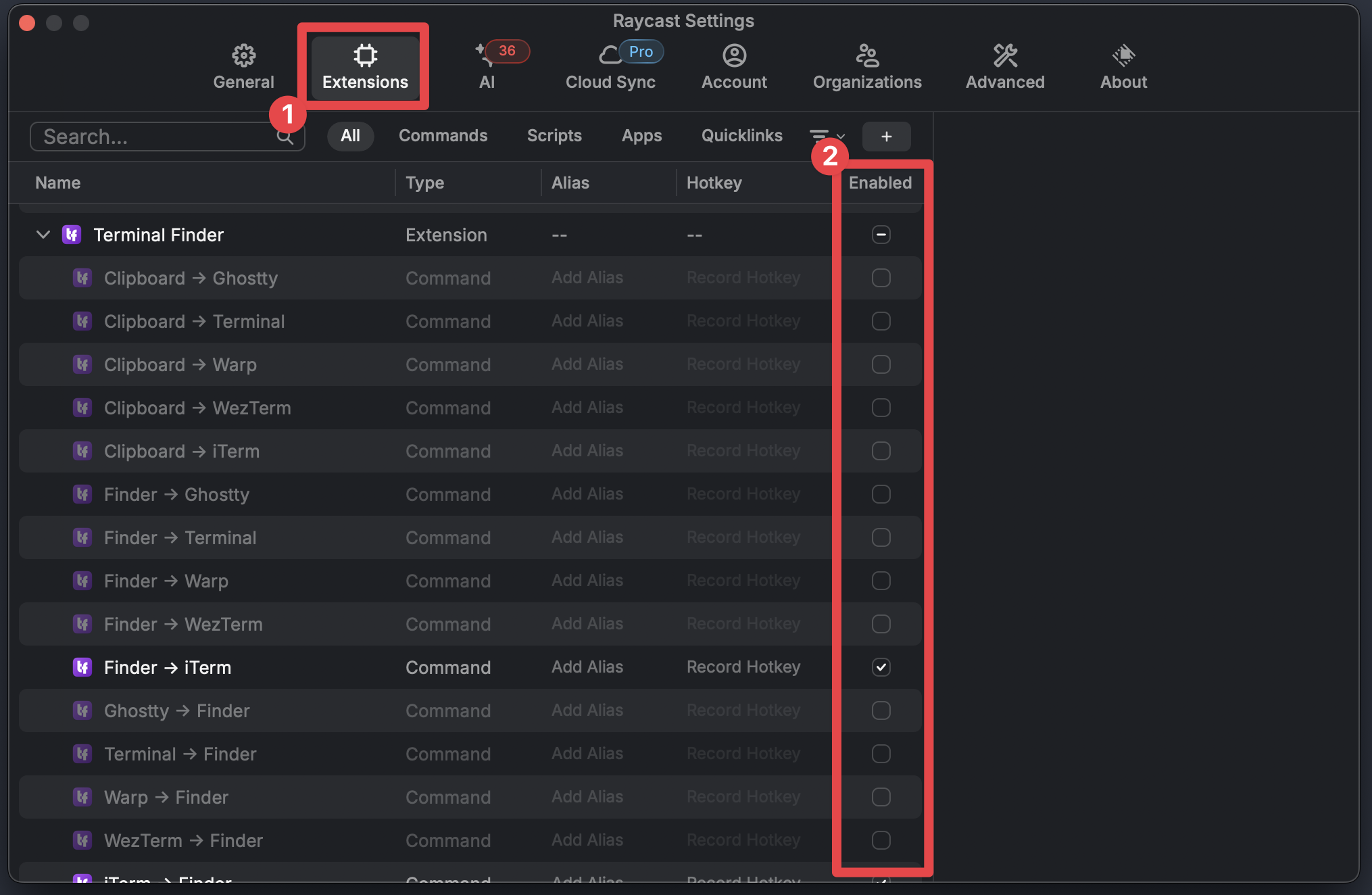 Raycast settings